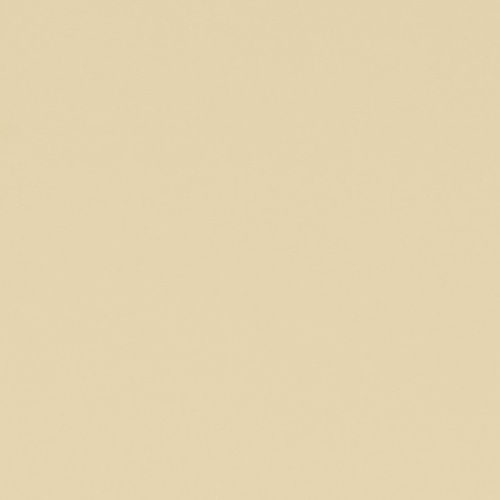L204 Ivory